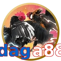 daga88